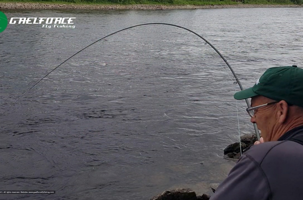 Gaelforce Fly Rods in action!